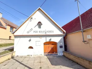 Prodej - jiné, Znojmo - Konice, 98 m2