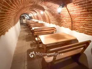 Prodej - jiné, Znojmo - Konice, 98 m2