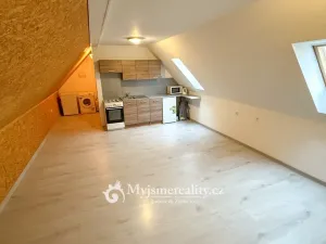 Prodej - jiné, Znojmo - Konice, 98 m2