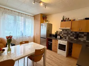 Pronájem bytu 1+1, Cheb, Stavbařů, 37 m2