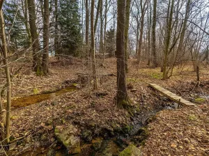 Prodej chaty, Licibořice - Šiškovice, 92 m2