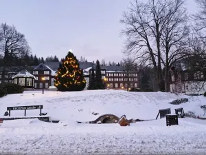 Prodej pozemku pro bydlení, Karlova Studánka, 900 m2