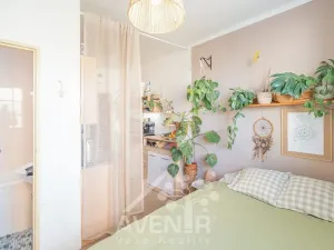 Pronájem bytu 1+1, Napajedla, Zábraní, 36 m2