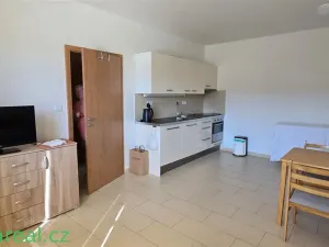 Prodej bytu 1+kk, Brod nad Dyjí, 34 m2