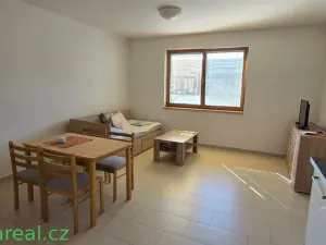 Prodej bytu 1+kk, Brod nad Dyjí, 34 m2