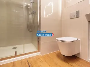 Pronájem bytu 2+kk, Olomouc, Třída Jiřího Pelikána, 59 m2