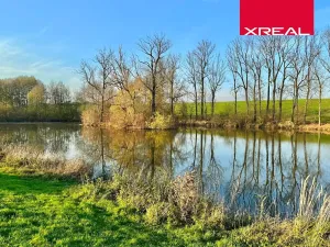 Prodej rodinného domu, Zlonice, Máchova, 159 m2