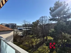 Pronájem bytu 3+kk, Plzeň - Jižní Předměstí, Raisova, 86 m2