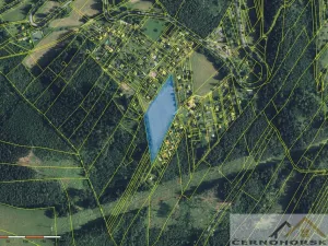 Prodej louky, Česká Třebová, 12174 m2