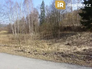 Prodej komerčního pozemku, Vrbno pod Pradědem, Jesenická, 1030 m2