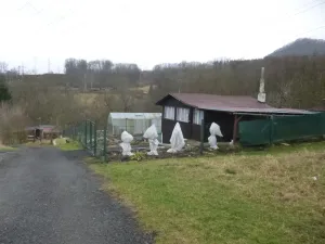 Prodej chaty, Děčín - Děčín VI-Letná, J. z Poděbrad, 30 m2