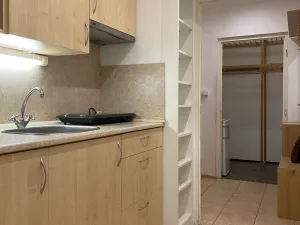 Pronájem bytu 1+kk, Brno - Královo Pole, Herčíkova, 29 m2