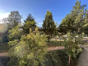 Pronájem bytu 1+kk, Brno - Královo Pole, Herčíkova, 29 m2