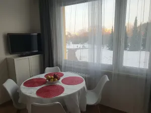 Pronájem bytu 1+1, Hradec Králové, Štefánikova, 40 m2