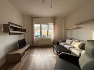 Pronájem bytu 2+1, Ústí nad Labem - Neštěmice, Opletalova, 50 m2