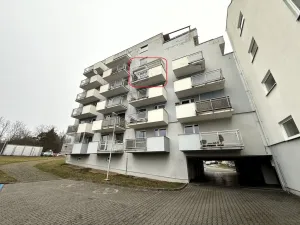 Pronájem bytu 1+kk, Brno - Lesná, Tomečkova, 41 m2