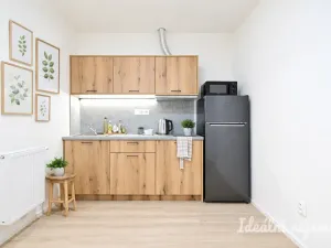 Pronájem bytu 2+kk, Brno, Bubeníčkova, 35 m2