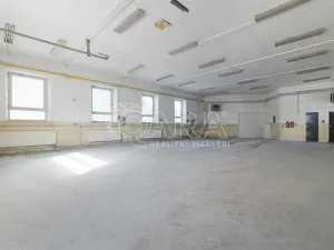 Pronájem výrobních prostor, Nový Jičín, Riegrova, 2293 m2