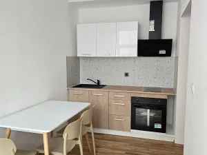 Pronájem bytu 1+1, Praha - Braník, Mezivrší, 55 m2