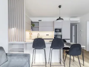 Pronájem bytu 2+kk, Praha - Karlín, Sokolovská, 55 m2