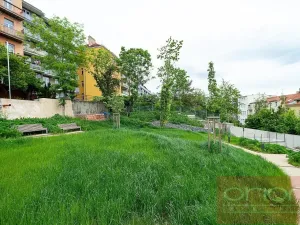 Pronájem bytu 4+kk, Praha - Smíchov, Holečkova, 207 m2