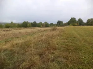 Dražba louky, Horní Pěna, 1083 m2