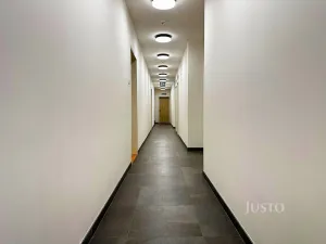 Pronájem bytu 2+kk, Praha - Žižkov, Olgy Havlové, 53 m2