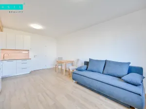 Pronájem bytu 1+kk, Olomouc - Slavonín, Loudova, 39 m2