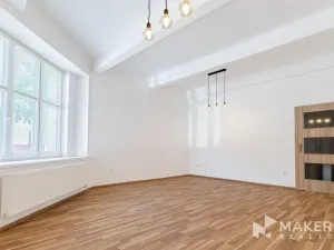 Prodej bytu 1+1, Praha - Vinohrady, Lucemburská, 56 m2