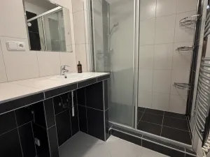 Pronájem bytu 2+1, Brno - Slatina, Bučovická, 60 m2