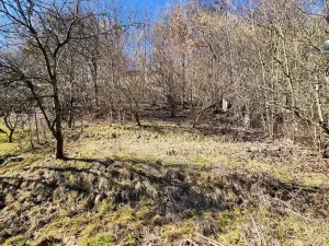 Prodej chaty, Moravská Třebová - Předměstí, 26 m2