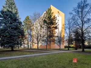 Pronájem bytu 1+1, České Budějovice - České Budějovice 3, Puklicova, 37 m2