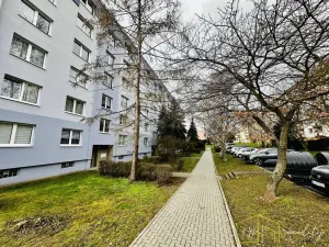 Prodej bytu 3+1, Krupka - Bohosudov, Kollárova, 75 m2