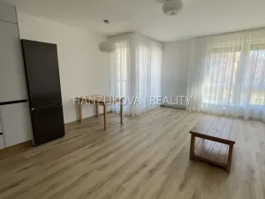 Pronájem bytu 2+kk, České Budějovice, Hálkova, 54 m2