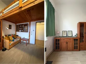 Pronájem bytu 1+kk, České Budějovice - České Budějovice 3, Nerudova, 38 m2