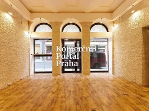 Pronájem restaurace, Praha - Nové Město, Soukenická, 181 m2