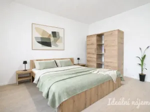 Pronájem bytu 1+1, Brno, Bubeníčkova, 25 m2