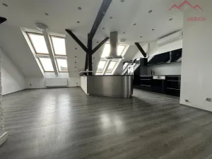 Pronájem atypického bytu, Chomutov, 28. října, 160 m2