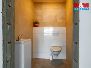 Prodej obchodního prostoru, Šumavské Hoštice - Kosmo, 316 m2