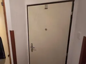 Prodej bytu 1+1, Praha - Vršovice, U Slavie, 44 m2