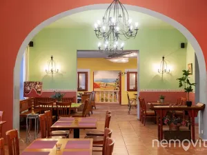 Prodej restaurace, Týnec nad Sázavou, 479 m2