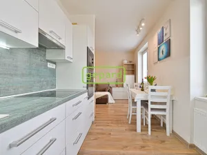 Pronájem bytu 2+kk, Brno - Horní Heršpice, Bednářova, 65 m2