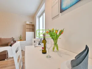 Pronájem bytu 2+kk, Brno - Horní Heršpice, Bednářova, 65 m2