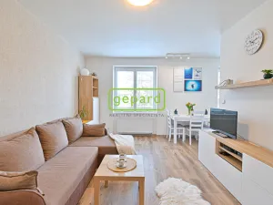 Pronájem bytu 2+kk, Brno - Horní Heršpice, Bednářova, 65 m2