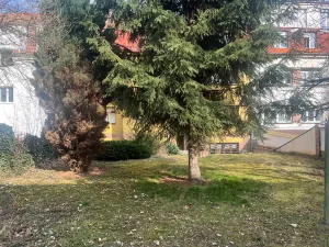 Pronájem bytu 1+kk, Praha - Košíře, Musílkova, 26 m2