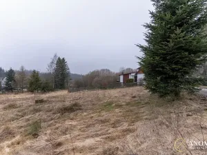 Prodej pozemku pro bydlení, Tvrdkov, 2807 m2