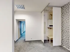 Pronájem obchodního prostoru, Plzeň, Na Roudné, 43 m2