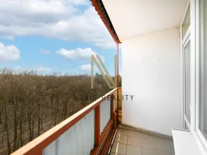 Pronájem bytu 1+1, Plzeň, Heyrovského, 36 m2