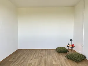 Pronájem bytu 1+1, Litvínov, Mládežnická, 38 m2