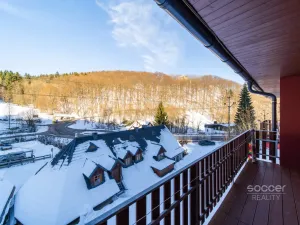 Prodej bytu 1+kk, Žacléř - Prkenný Důl, 44 m2